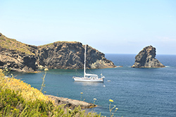 Faraglione Cala Tramontana
