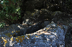 Le Tombe Bizantine di Zighidì